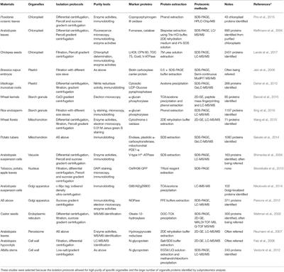 Protein Extraction Methods Shape Much of the Extracted Proteomes